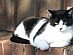 View full size picture