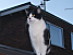 View full size picture