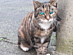 View full size picture