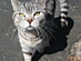 View full size picture