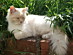 View full size picture