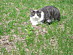 View full size picture
