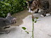 View full size picture