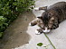 View full size picture