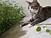 View full size picture