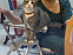 View full size picture