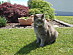 View full size picture