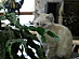 View full size picture