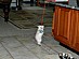 View full size picture