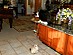 View full size picture