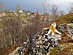 View full size picture