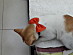 View full size picture