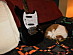 View full size picture