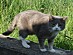 View full size picture