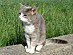 View full size picture