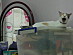 View full size picture