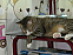 View full size picture