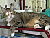 View full size picture