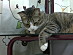 View full size picture