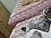 View full size picture