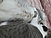 View full size picture