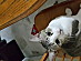 View full size picture