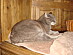 View full size picture
