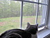 View full size picture