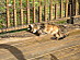 View full size picture
