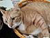 View full size picture