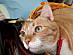 View full size picture