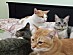 View full size picture