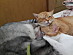 View full size picture