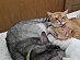 View full size picture