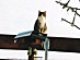 View full size picture