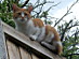 View full size picture