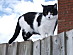 View full size picture