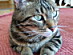 View full size picture