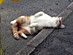 View full size picture