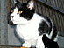 View full size picture