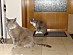 View full size picture
