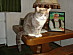 View full size picture