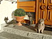 View full size picture