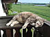 View full size picture