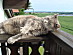View full size picture