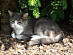 View full size picture