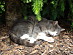 View full size picture