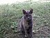 View full size picture