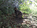 View full size picture