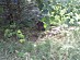 View full size picture